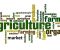 A Strategy for Sustainable Agriculture Development
