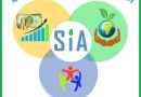 Programme Associate – Sustainability in Action (SiA)